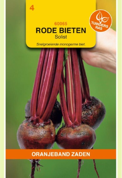 Rote Bete Solist (Beta vulgaris) 400 Samen